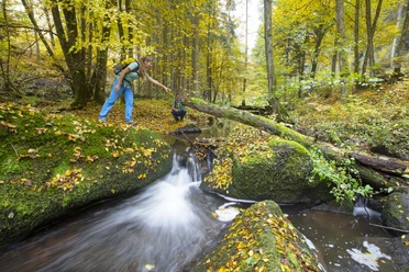 Im Otterbachtal bei Altenthann
