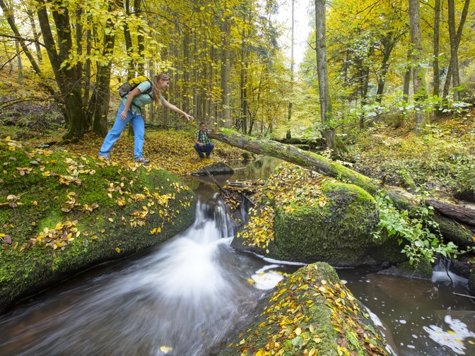 Im Otterbachtal bei Altenthann