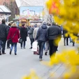 Frühlingsmarkt in der Delbrücker Innenstadt Menschen bummeln auf einem belebten Frühlingsmarkt; bunte Verkaufsstände und gelbe Blüten im Vordergrund.
