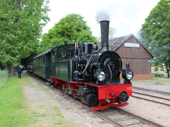 Historische Dampflok der Museums-Eisenbahn Bruchhausen-Vilsen zwischen begrünten Gleisen.