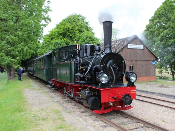 Historische Dampflok der Museums-Eisenbahn Bruchhausen-Vilsen zwischen begrünten Gleisen.