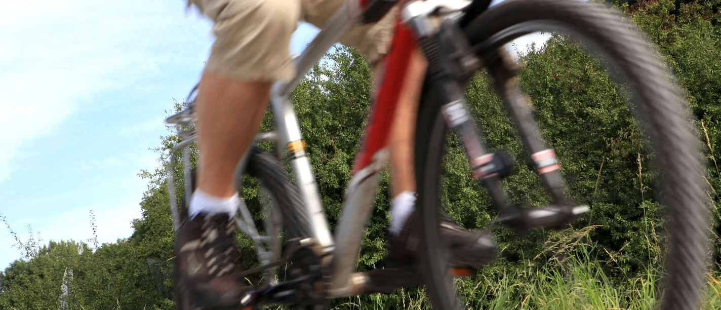 Tour auf dem PanoramaRadweg niederbergbahn Ein Fahrradfahrer auf einem Radweg mit grüner Natur und blauem Himmel im Hintergrund.