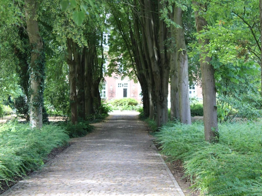 Eine von Bäumen gesäumte Allee führt zu einem historischen Backsteingebäude in Bruchhausen-Vilsen.