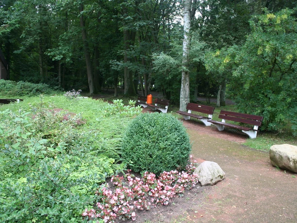 Zwei rote Bänke stehen auf einem Weg in einem grünen Park, umgeben von Büschen und Blumen.