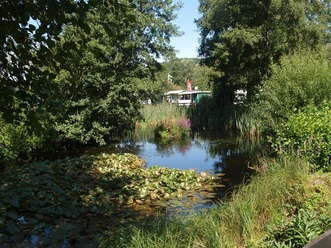 Teich am Campingplatz