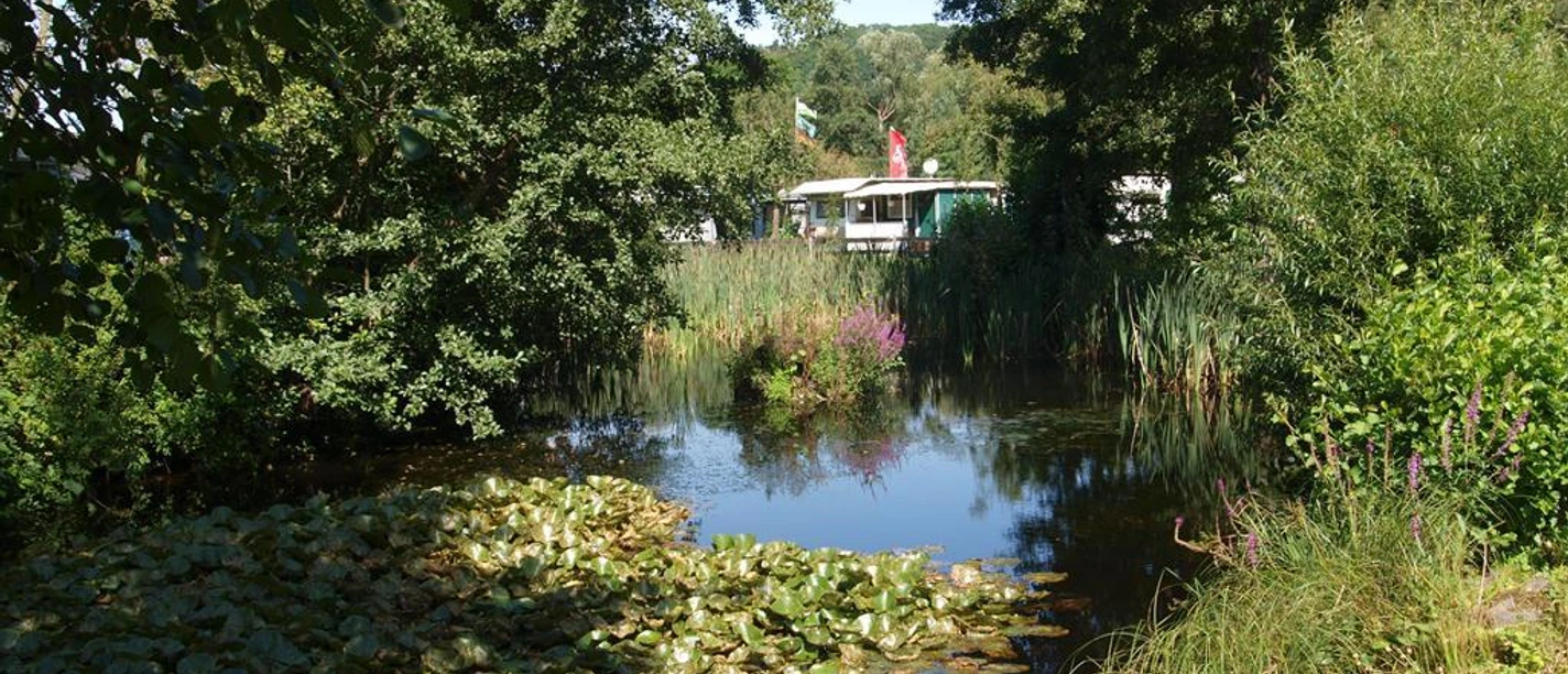 Teich am Campingplatz Teich am Campingplatz