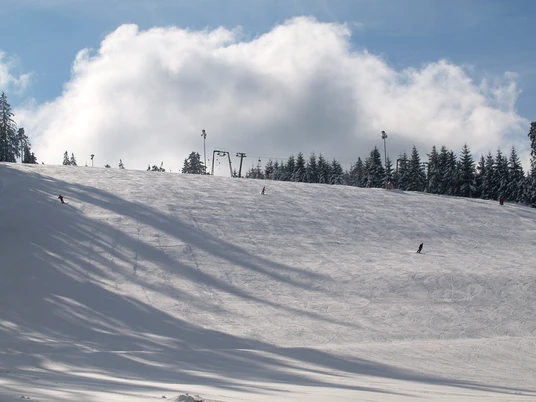 Gernsbach Kaltenbronn Skilift Alpin Skifahrer