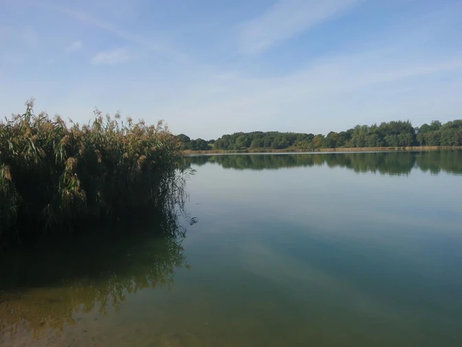 Selker Noor Katja Brückner 2020 (5).JPG