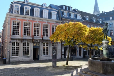 Elegantes Backsteingebäude mit hohen Fenstern und einem gepflegten Vorplatz, wird von einem goldgelben Baum und einem Brunnen vom Hühnerdieb geschmückt. Im Hintergrund erhebt sich der Turm einer Kirche.