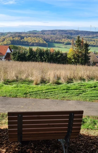 Waldsofa am Rivieraweg