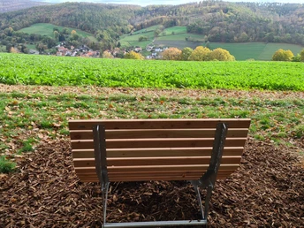 Waldsofa am B5 B6 oberhalb Kirchhof