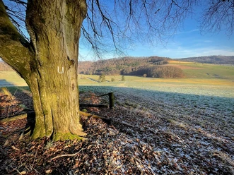 Bartenwetzerpfad U