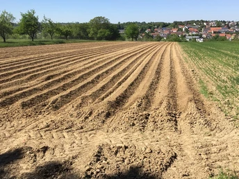 Geflügelhof Vogelgesang, Mandelbachtal