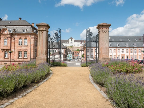 Blick auf die Altstadt von Blieskastel
