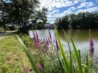 Homburg 2022 Jaegersburger Brückweiher, Wolfgang Henn