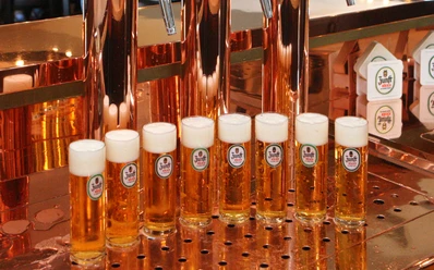 frisch gezapftes Bier Acht frisch gezapfte Kölschgläser mit Schaumkrone stehen auf einer Theke aus glänzendem Kupfer.