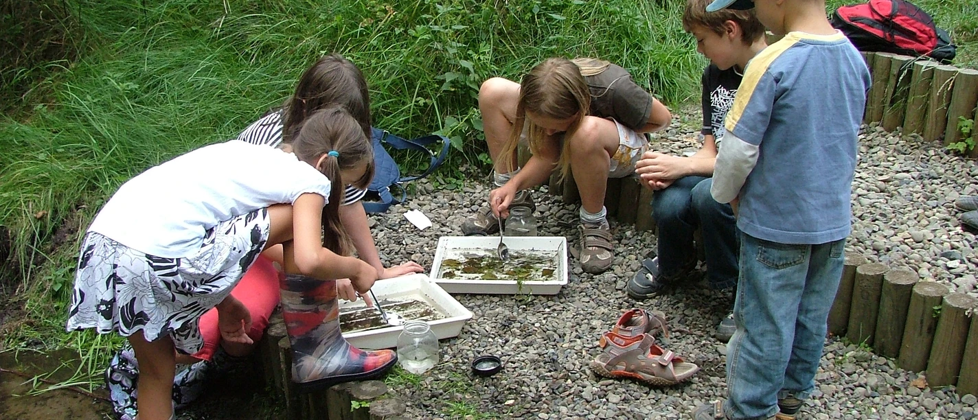 Schulprogramm Fritz, der Flohkrebs