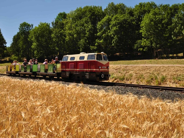 Parkeisenbahn Vatterode - Kornfeld