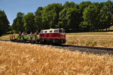Parkeisenbahn Vatterode - Kornfeld Parkeisenbahn Vatterode - Kornfeld