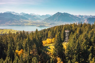 sigriswil-bluemeturm-drohnenaufnahme-aussicht-thunersee-niesen-herbst-schweiz-tourismus-christian-meixner.jpg