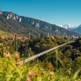 sigriswil-panoramabrücke-hängebrücke-eiger-mönch-jungfrau-schweiz-tourismus-christian-meixner.jpg