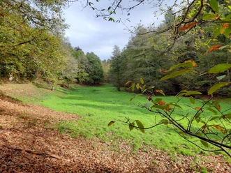 Natur pur