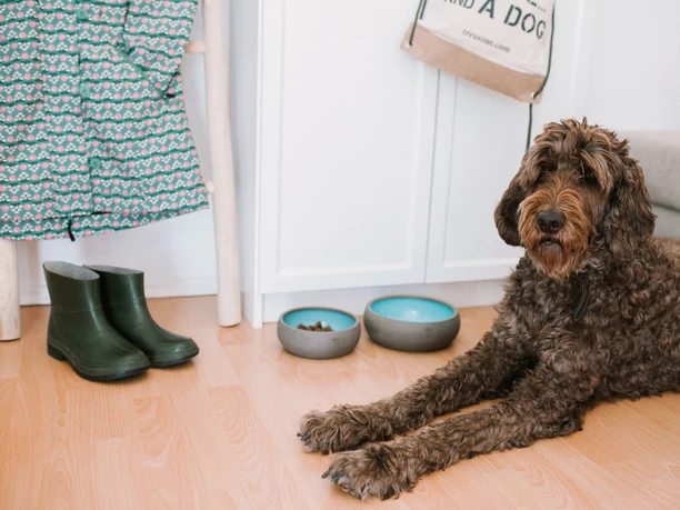 Produkte bei Beste Freunde