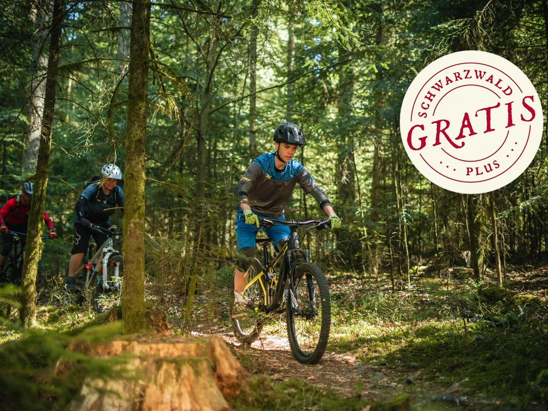 MTB-Kinderspaß im Trail