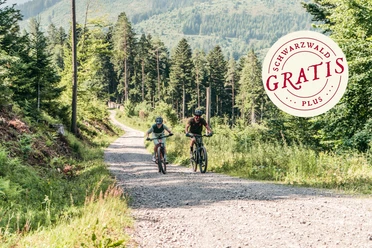 Vor dem downhill kommt der uphill