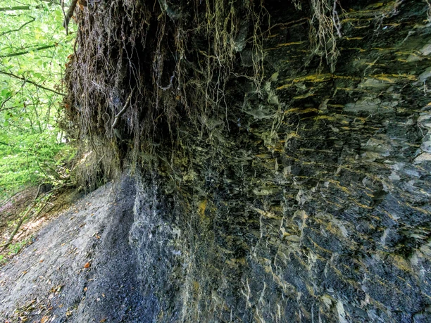 Naturdenkmal Schwarzkreidegrube im Osnabrücker Land