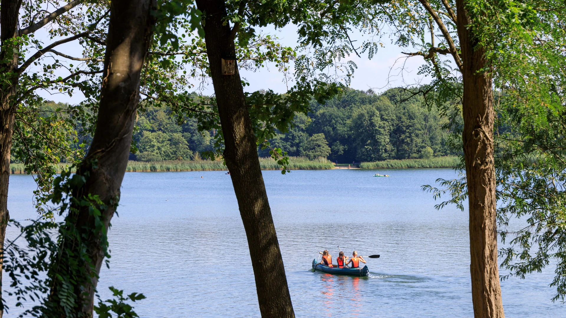 A canoe with three people on a calm lake, surrounded by dense trees and a green shoreline.
