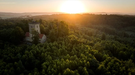 Die Diedrichsburg im Osnabrücker Land Ein steinerner Turm erhebt sich aus einem dichten Wald im Sonnenuntergang und bietet eine weite Aussicht.