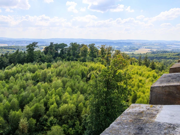 Aussicht von der Diedrichsburg Weitläufige Wälder und Hügel unter einem blauen, leicht bewölkten Himmel.