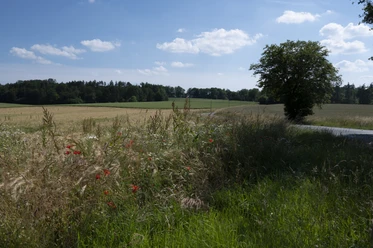 Erholung pur im Nettetal Osnabrücker Land