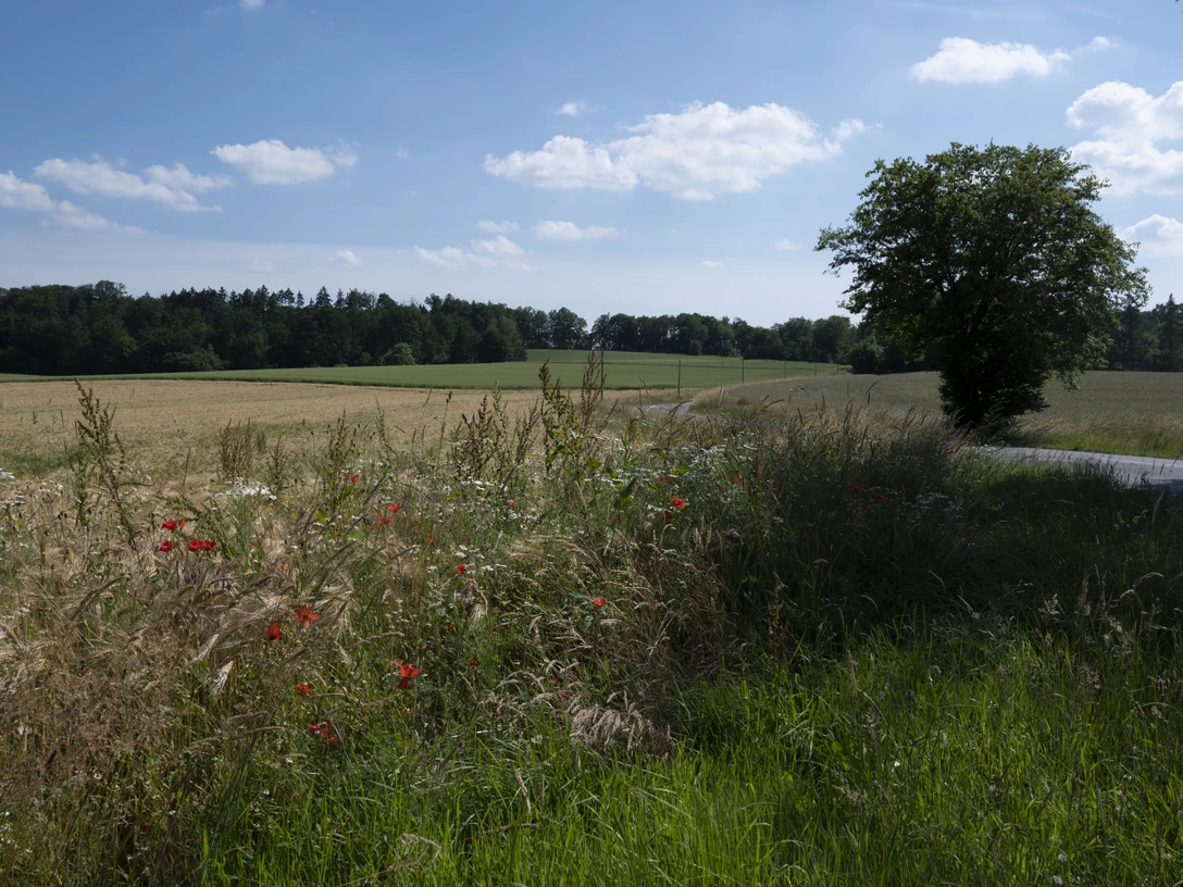 Erholung pur im Nettetal Osnabrücker LandOsnabrücker LandOsnabrücker LandOsnabrücker Land