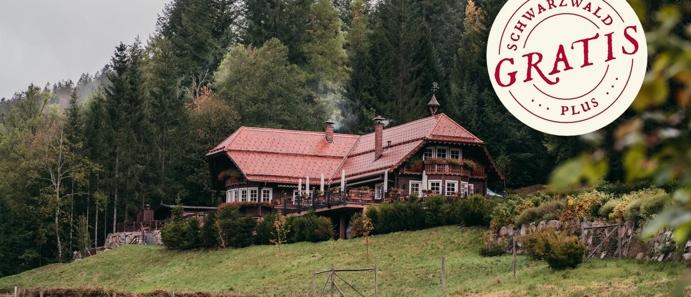 Forellenhof im Buhlbachtal