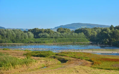 1Leinepolder, ©Thomas Spieker.jpg Ausblick am Leinepolder