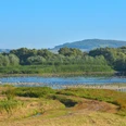 1Leinepolder, ©Thomas Spieker.jpg Ausblick am Leinepolder