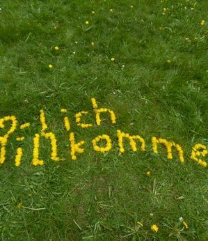 Löwenzahn willkommen klein