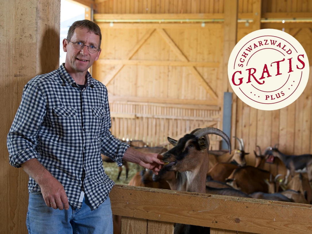 Herr Peterle mit seinen Ziegen