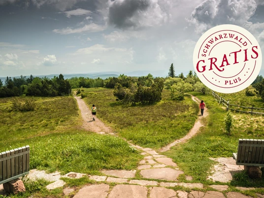 Wilde Landschaft am Schliffkopf