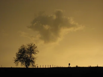 Abendstimmung - Ausblick aus der Ferienwohnung