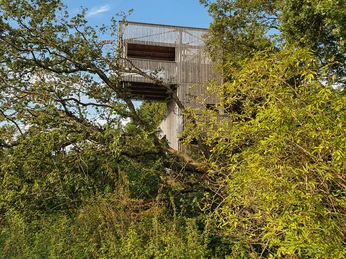Bollenhagener Moorwald_2_Hofrichter Bollenhagener Moorwald_2_Hofrichter