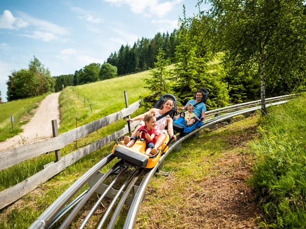 Two adults and two children tobogganing happily down the summer toboggan run through a green landscape.