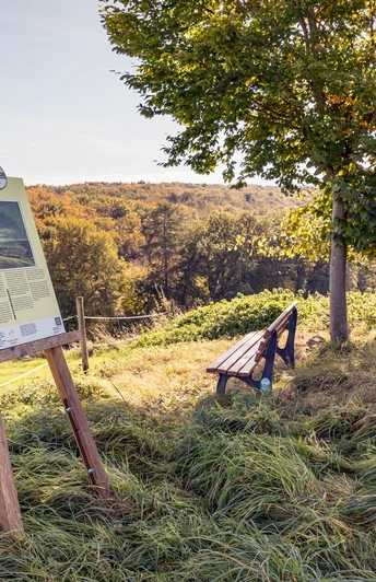 Bank an der Bantzerbuche auf dem KuKuKsweg Anftrefftal
