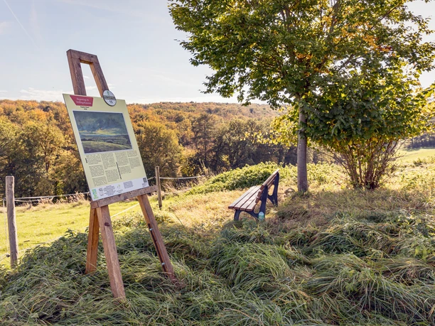Bank an der Bantzerbuche auf dem KuKuKsweg Anftrefftal