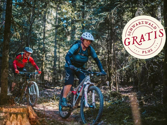 Über Strock und über Stein