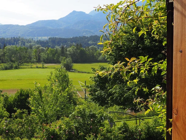 Fensterblick
