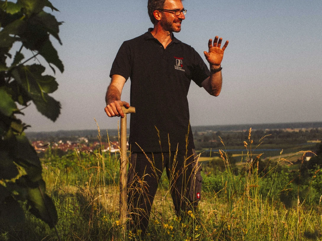 Weingut Tobias Köninger