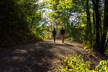 Zwei Personen laufen durch den Wald